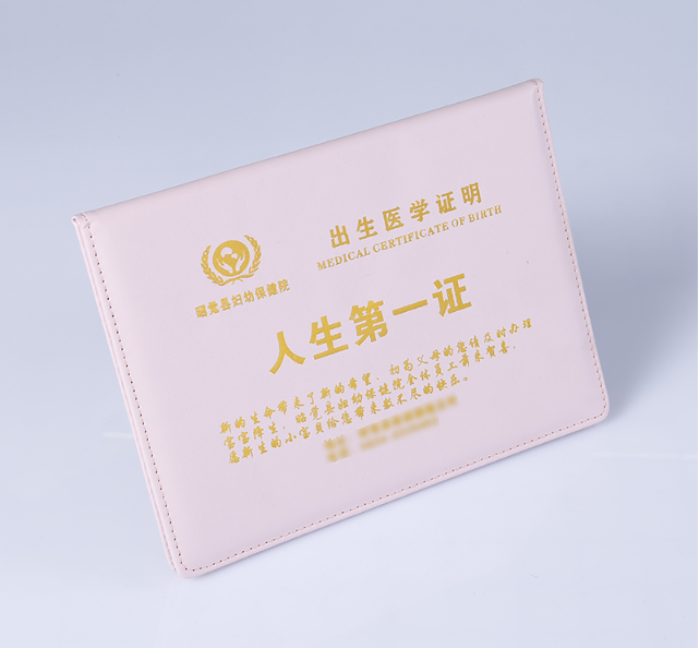 栈智专业制作各种证件照：小白必看的避坑指南